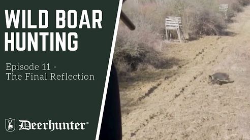 Episode 11 - Wild Boar Hunting: The Final Reflection