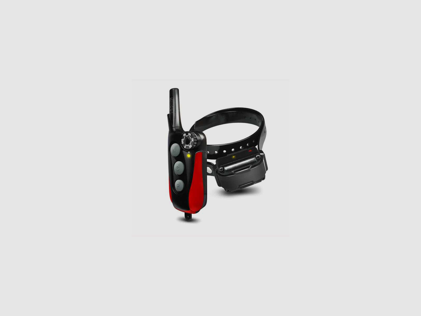 DOGTRA IQ PLUS training collar