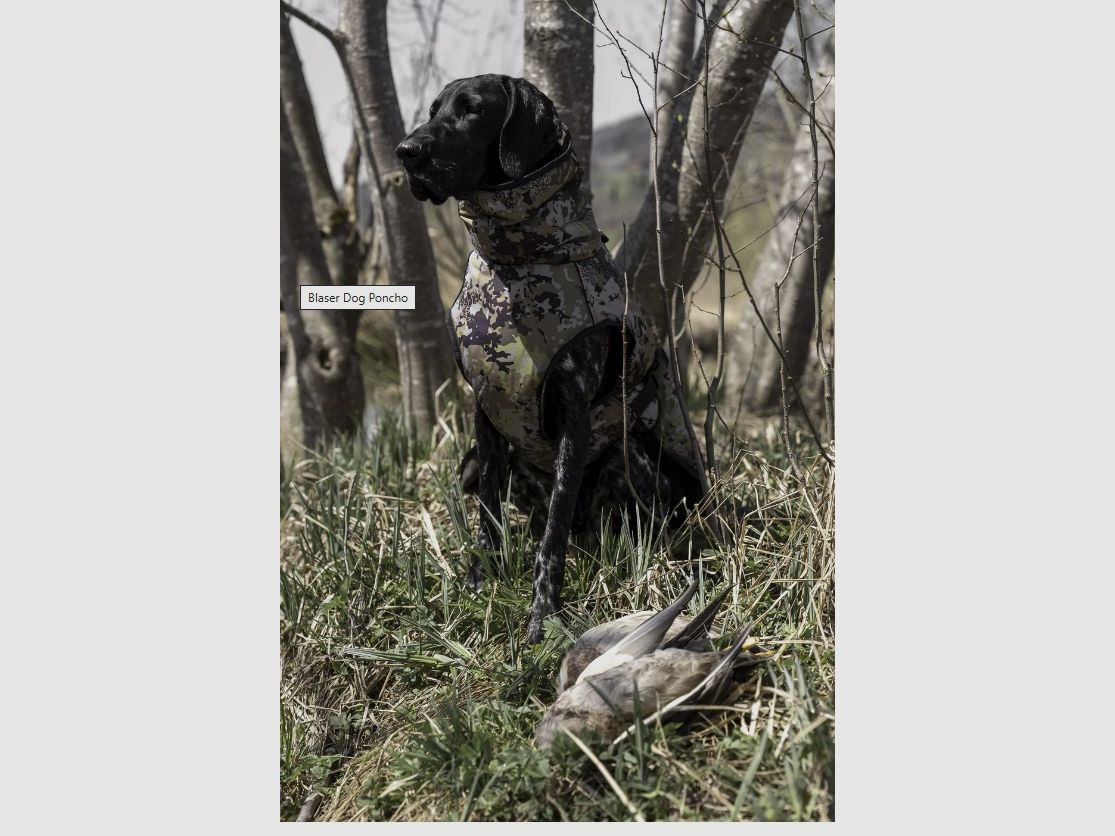 Blaser Hundepullover, Bild 7 von 8