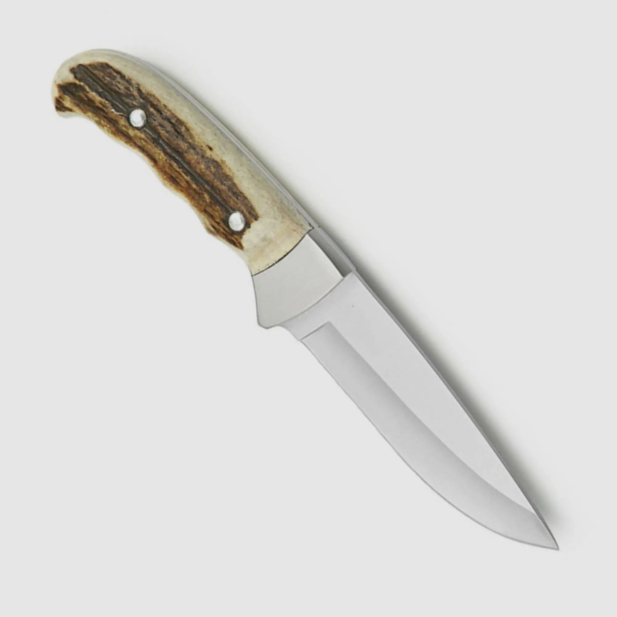 PUMA IP outdoor hunter, stag