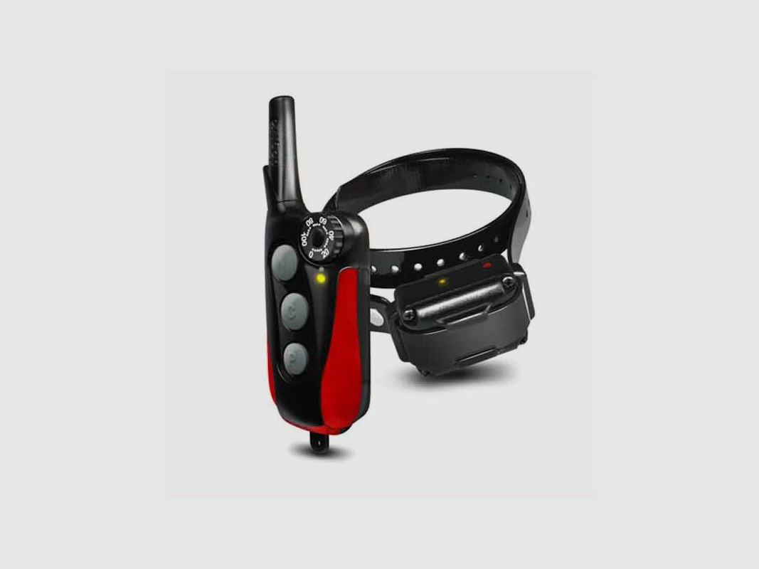 DOGTRA IQ Plus Trainingshalsband