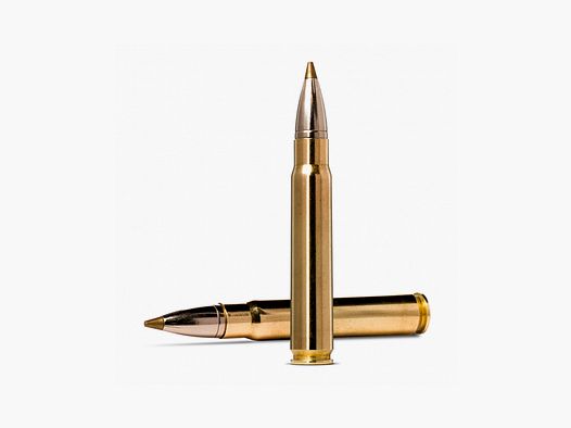 Munición Metálica NORMA 9,3×62 EvoStrike 184 Grains