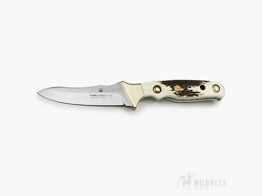 PUMA waidwerk stag