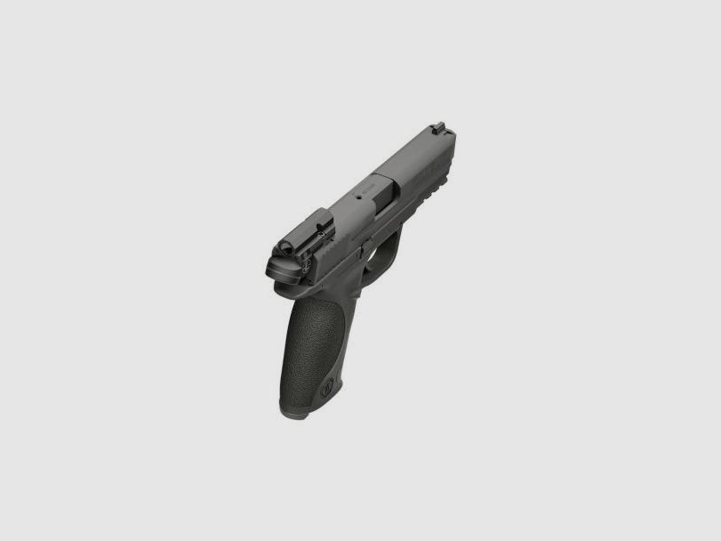 Leupold DeltaPoint Micro Red Dot Sight for S&W M&P as Rear Sight Replacement, image 7 of 26
