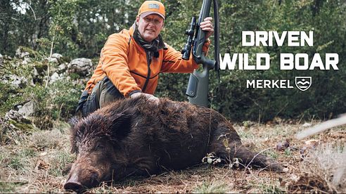 WILD BOAR DRIVEN HUNT | HUNTING MAGIC MOMENTS