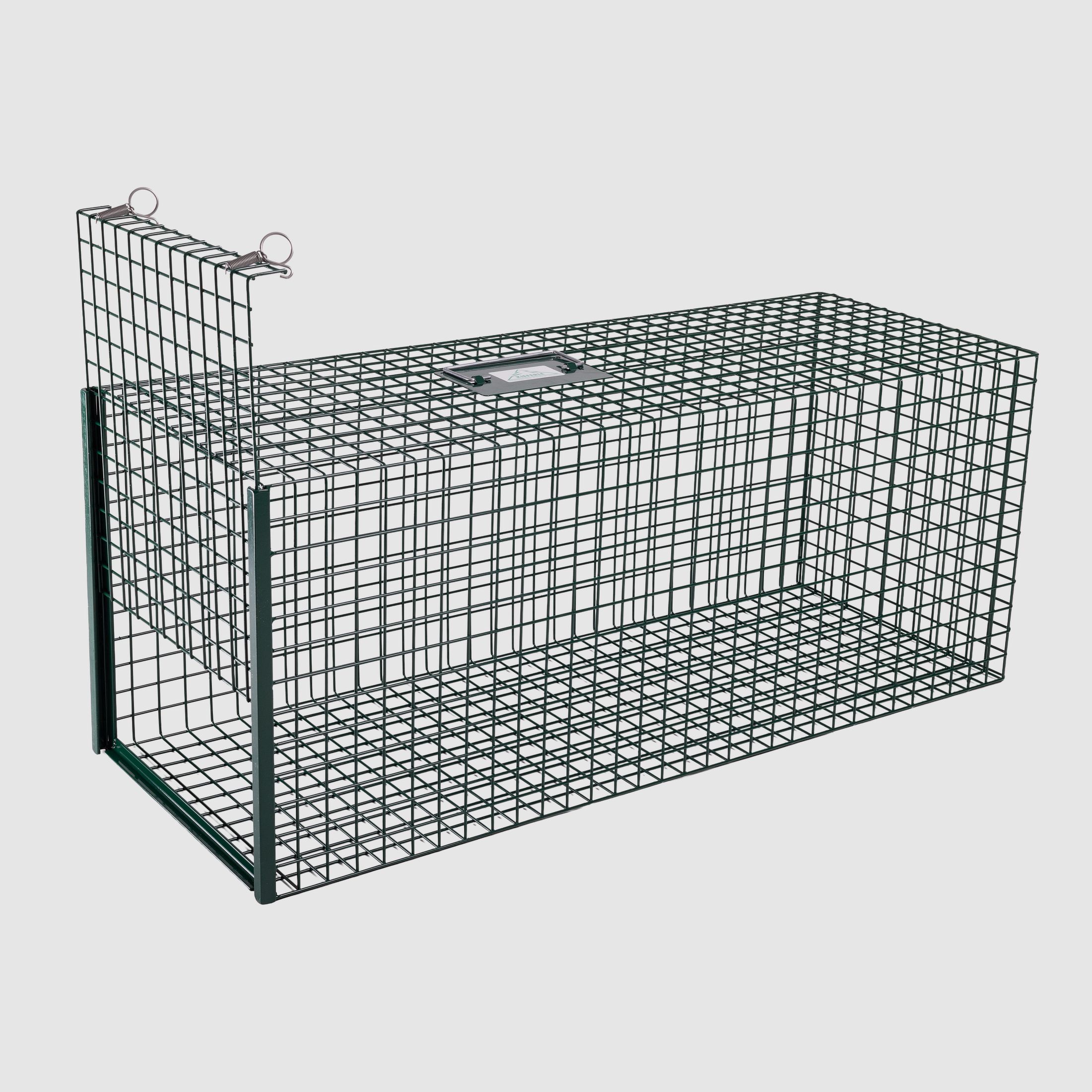 Ensemble de piège à raton laveur boîte polyvalente