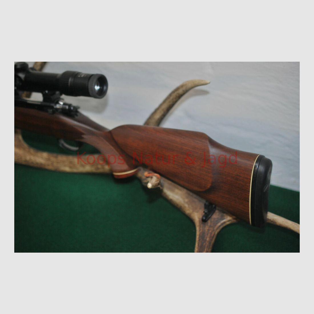 Tikka M 55