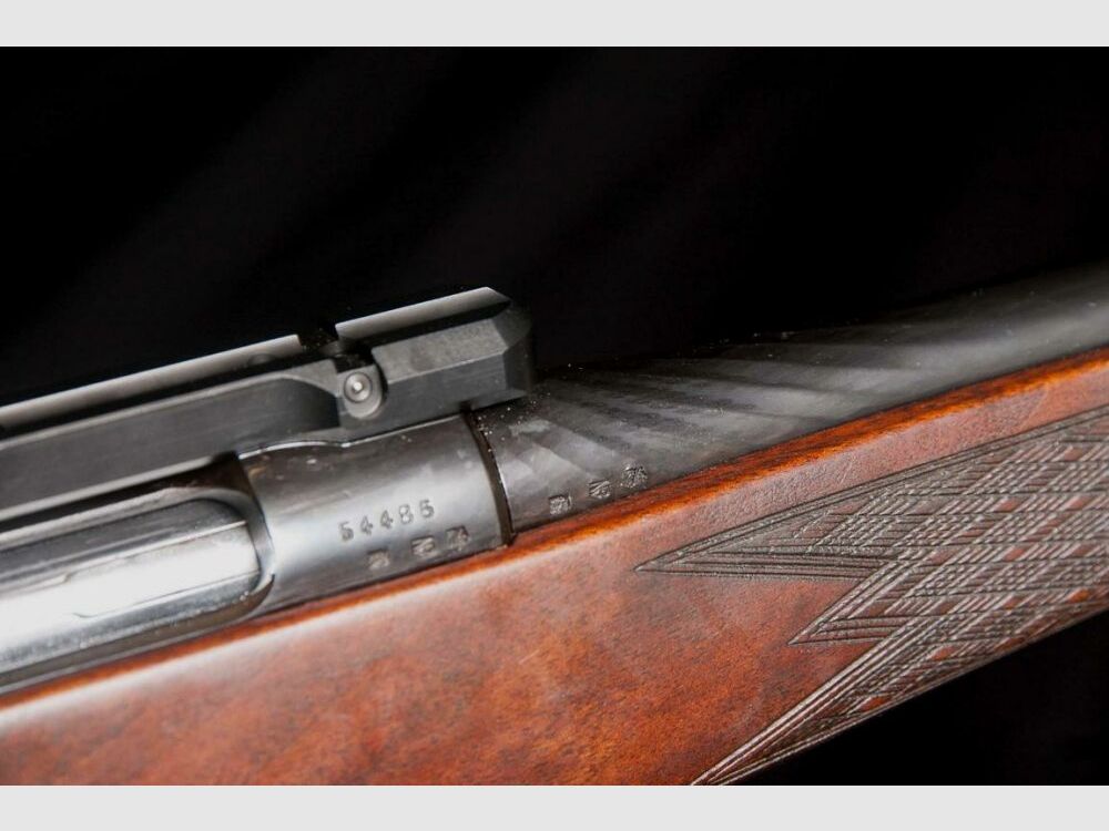 Steyr Mannlicher Stutzen M mit Dentler Montage