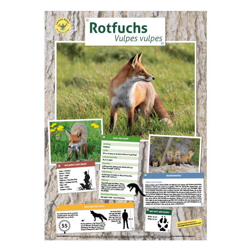 Poster di animali in formato DIN A4 (set di 22 pezzi), immagine 7 di 29