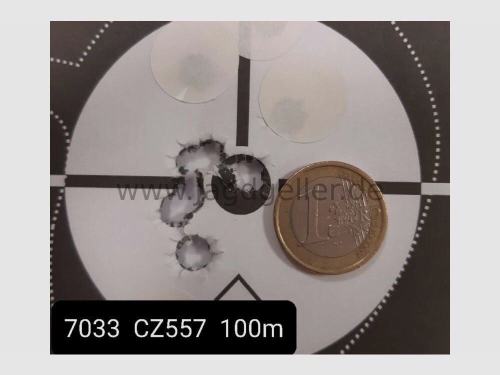 CZ Uhersky Brod CZ 557 Varmint mit 6-24x50 Vortex-ZFR .308Win