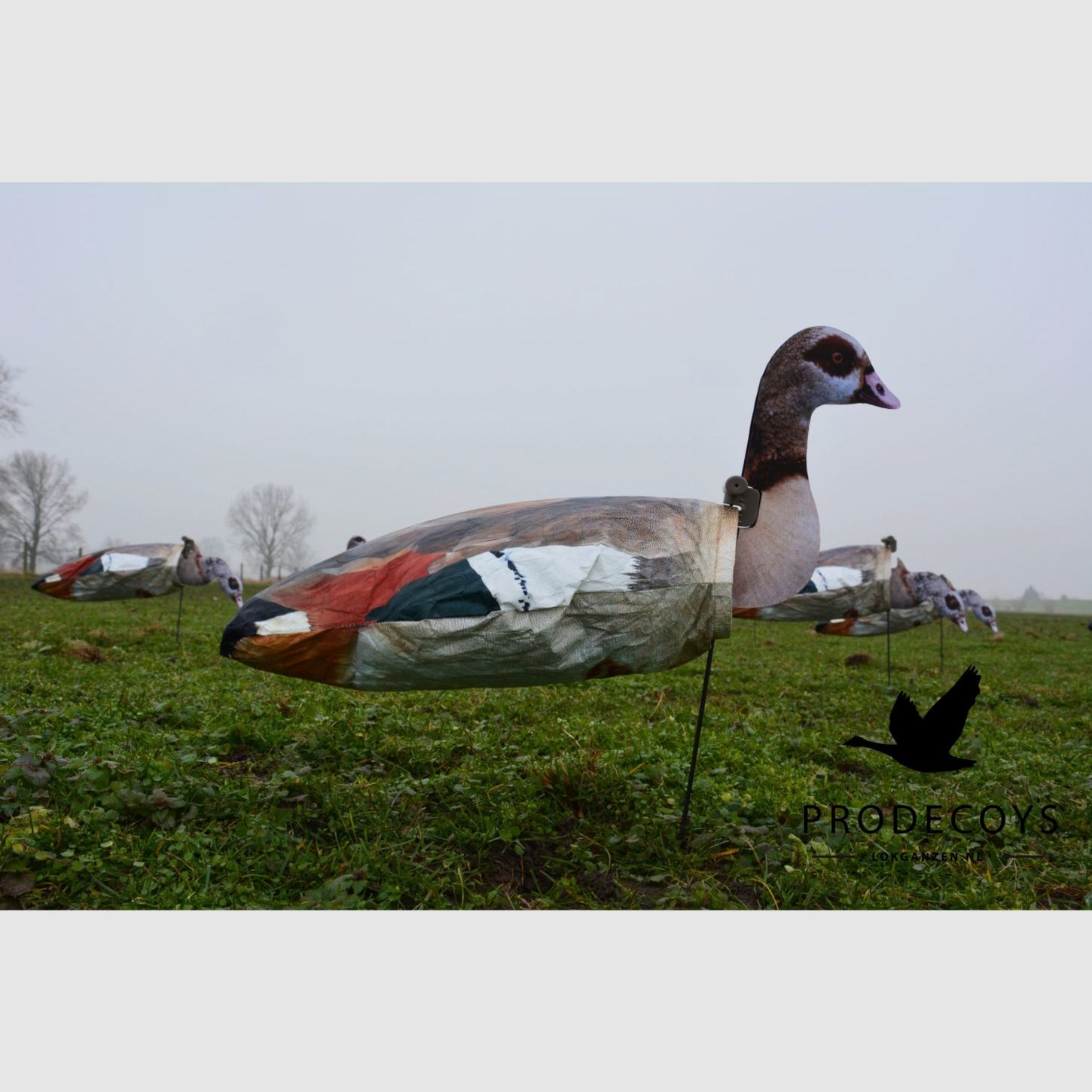 ProDecoys Nilgans 2D-Windsack-Lockvögel, 12 Stk., Bild 2 von 9