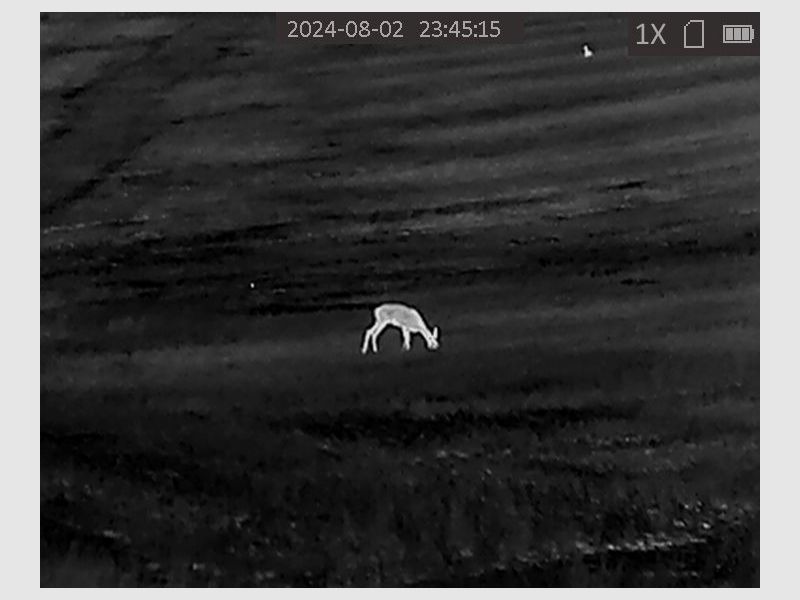 Thermal imaging camera HIKMICRO OWL OH35