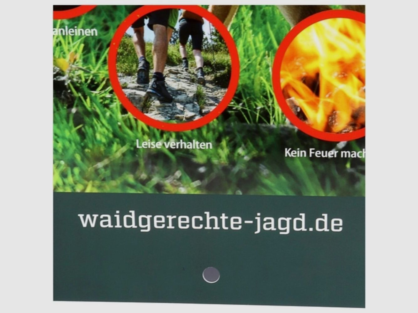 Waidgerechte Jagd Hinweisschild Rücksicht auf's Wild - 3er-Pack