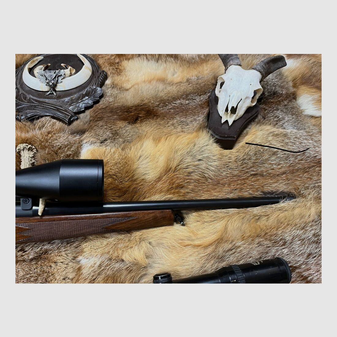 Blaser R93
