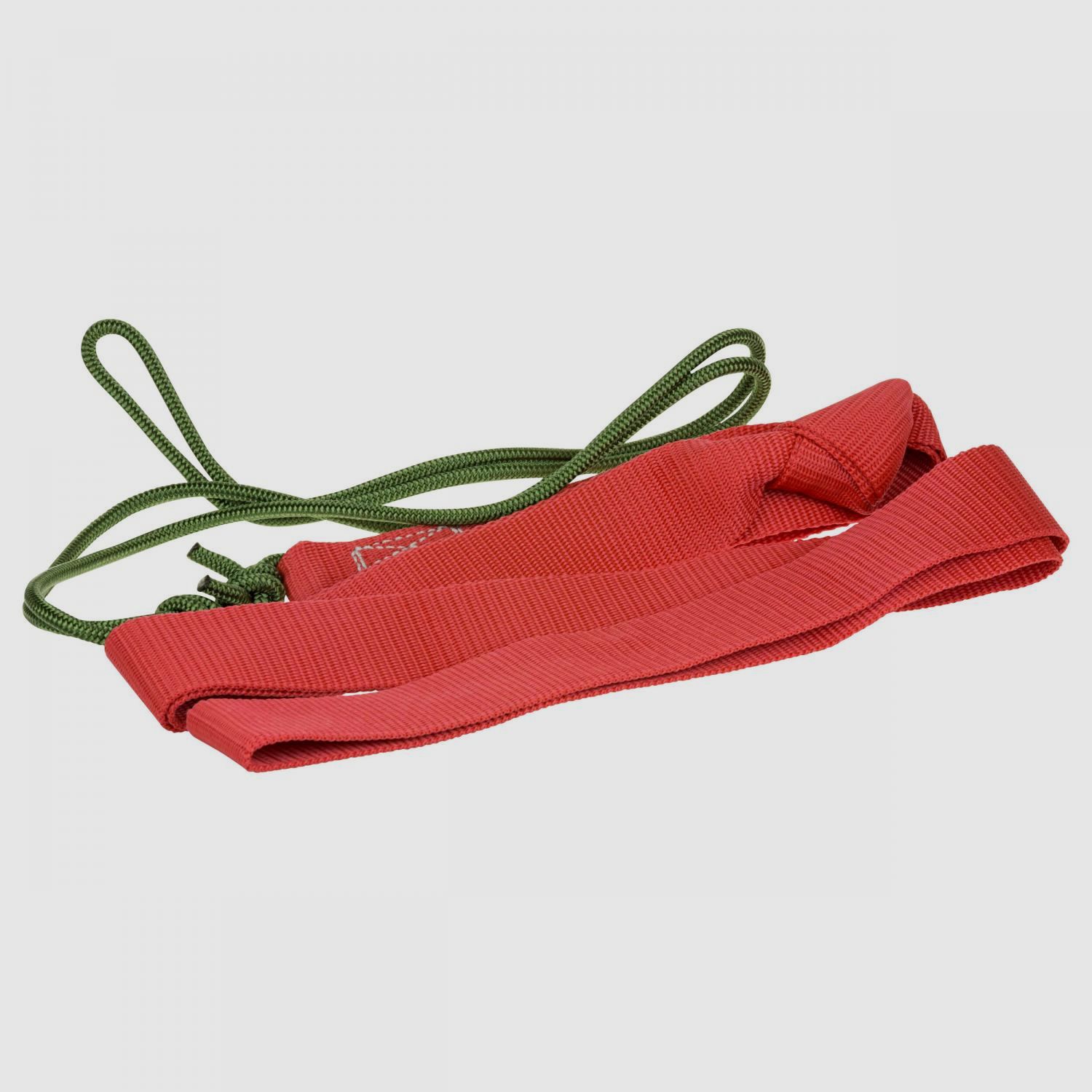 Wildbergehilfe Mufflon