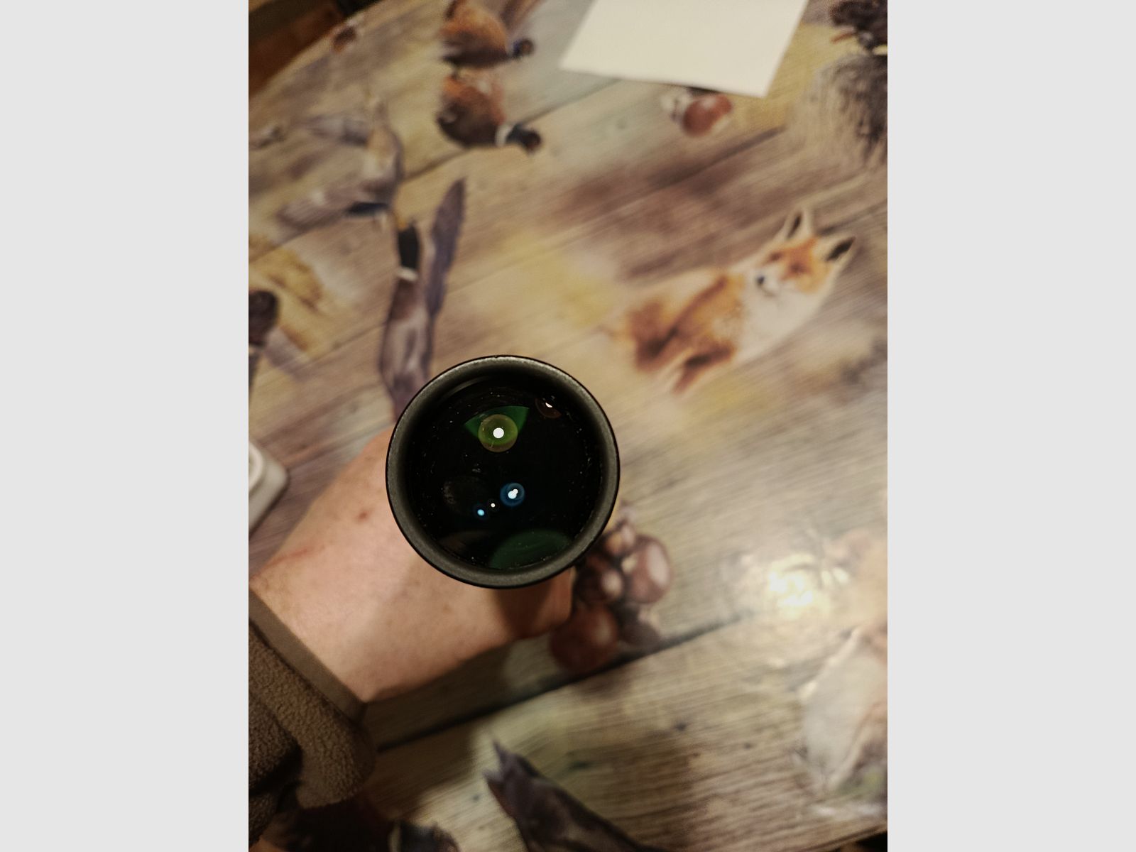 Steiner Nighthunter 2-10x50