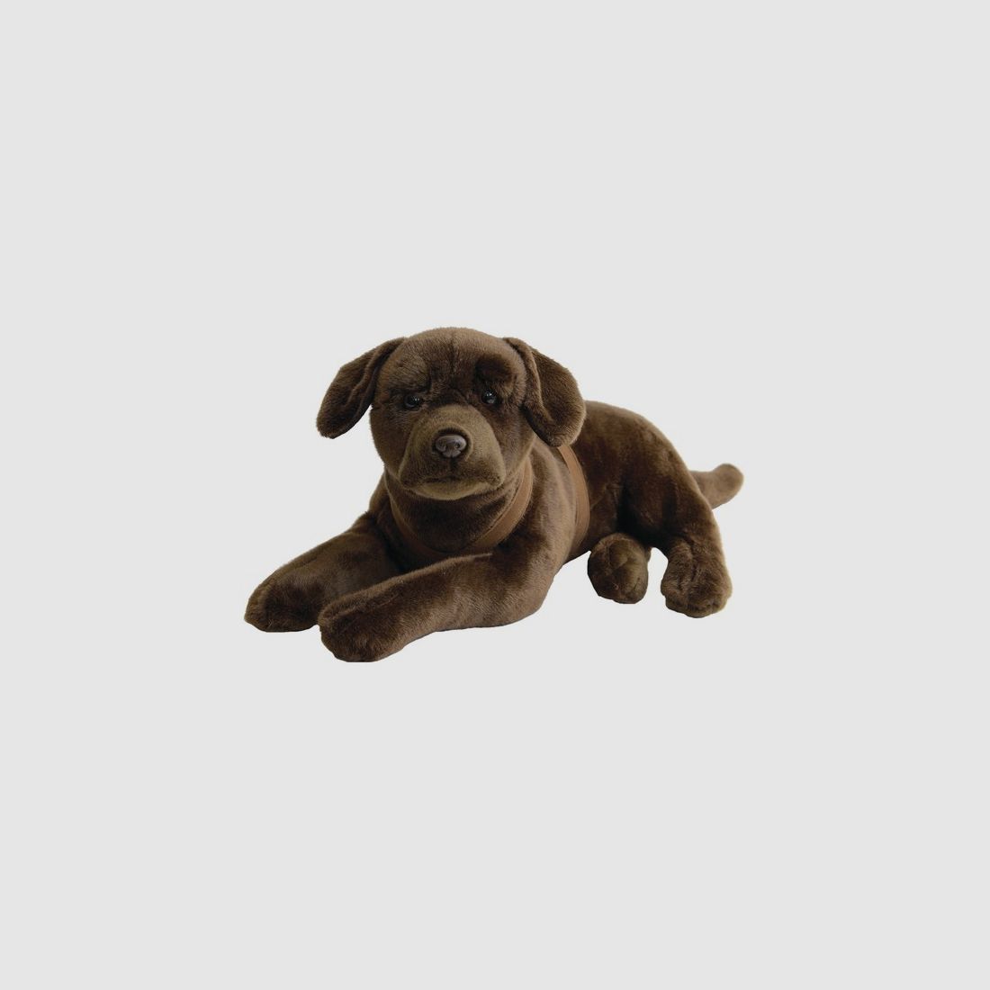 LABRADOR CHOCOLAT NATURE DE BRENNE 50 CM
