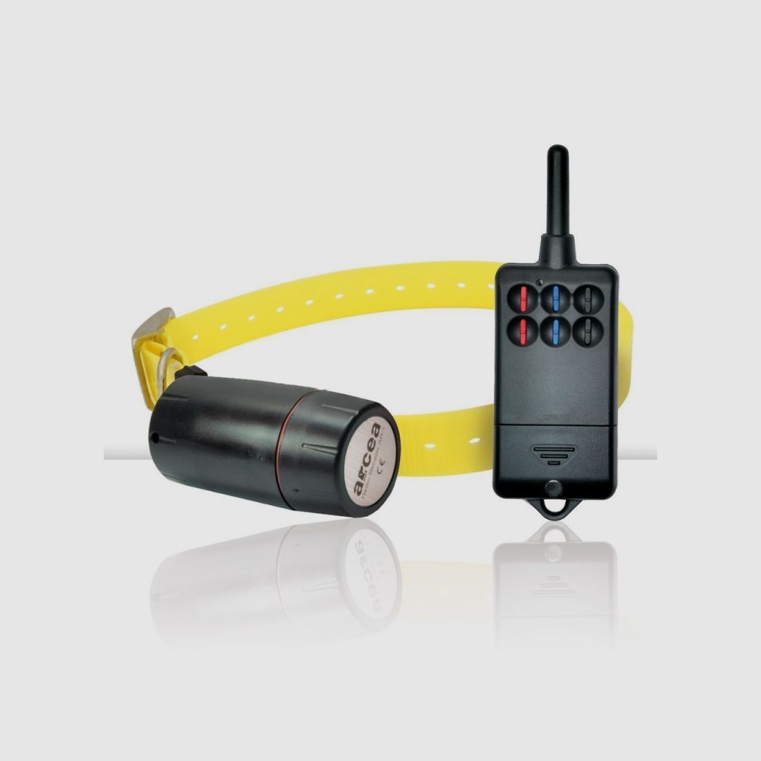Teleconik-Wildhundehalsband (Fernbedienung + Halsband), Bild 2 von 3