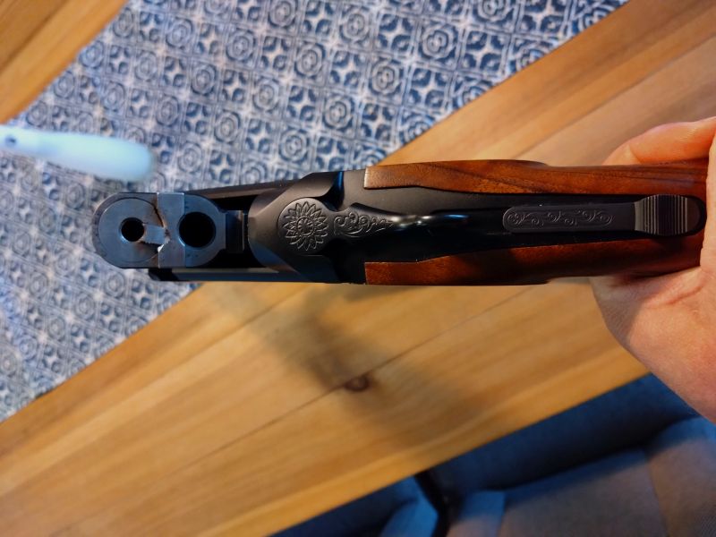 Bockbüchsflinte Blaser BBF95 in 8x57IRS; EL .17 Hornet