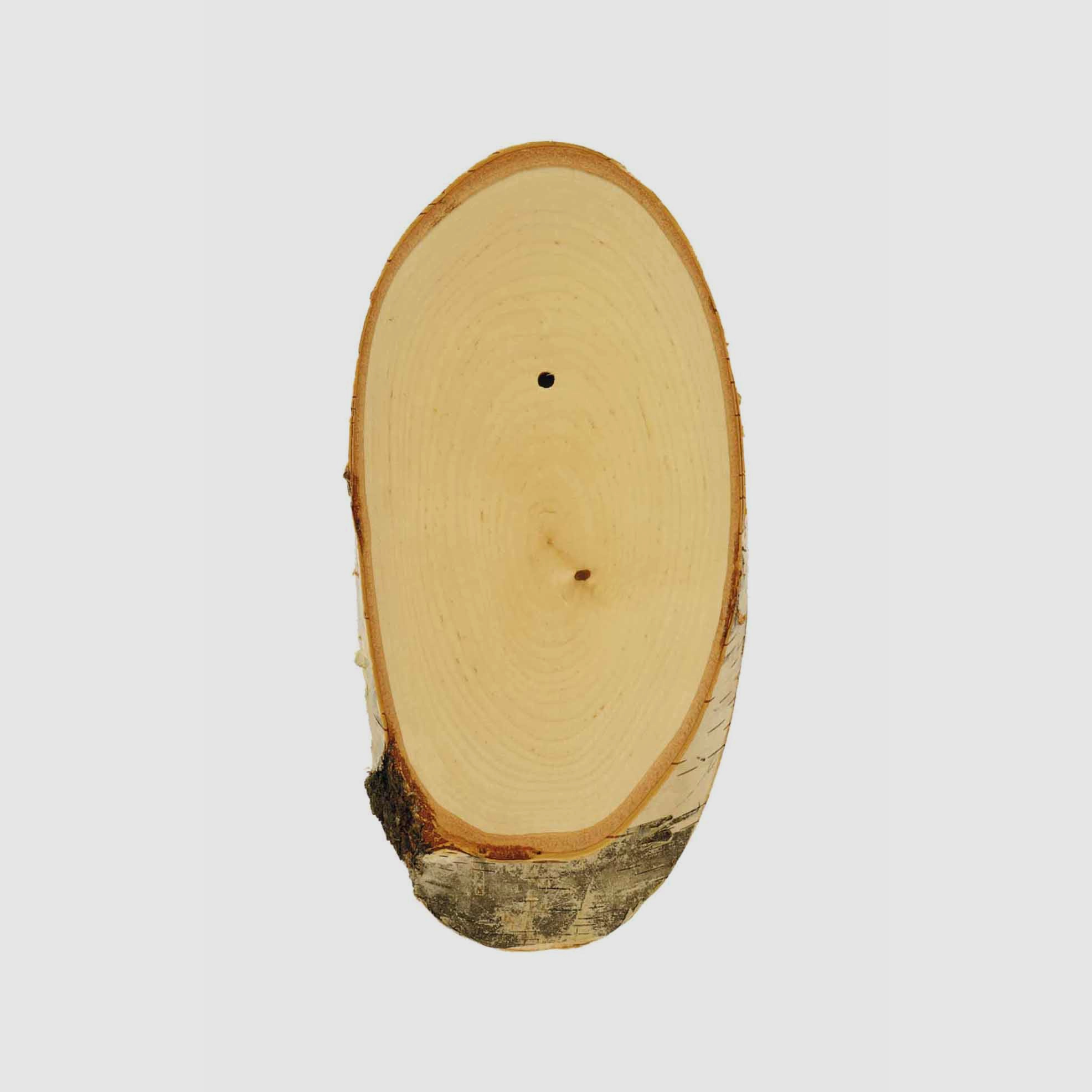 Trophäenschild für Rehbock Birke - 20 x 12 cm