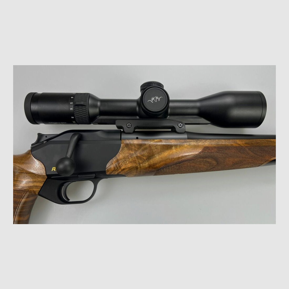 Blaser R8 Success