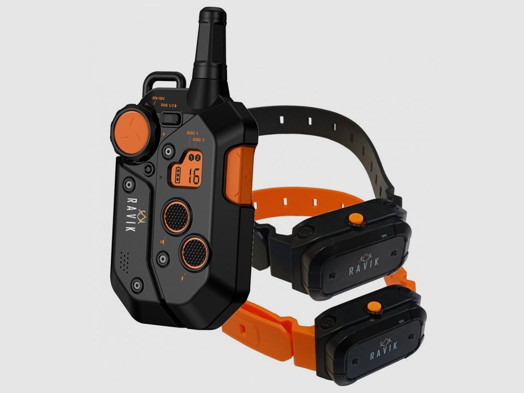Pack Halsband für die Ausbildung Ravik RV900 für 2 Hunde, Bild 1 von 3