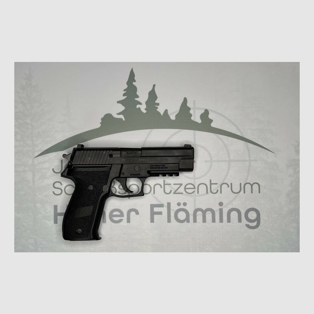 SIG Sauer SIG P226 9mmLuger