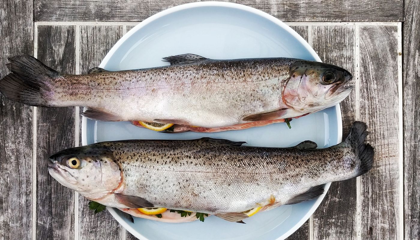 Comment vider un poisson correctement : étapes pour les débutants