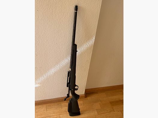 Savage 110 Ultralite in .308win