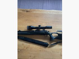 Sauer 303