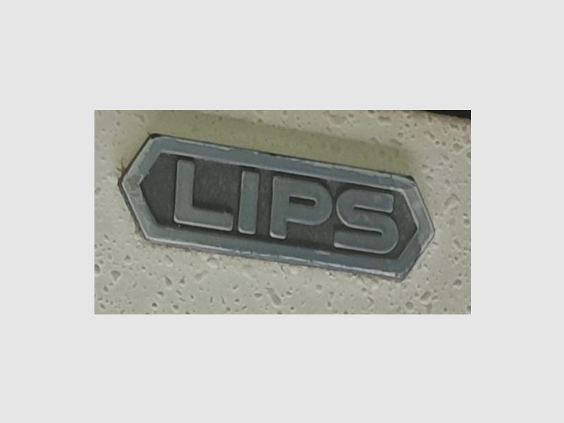 Wertschutzschrank LIPS 