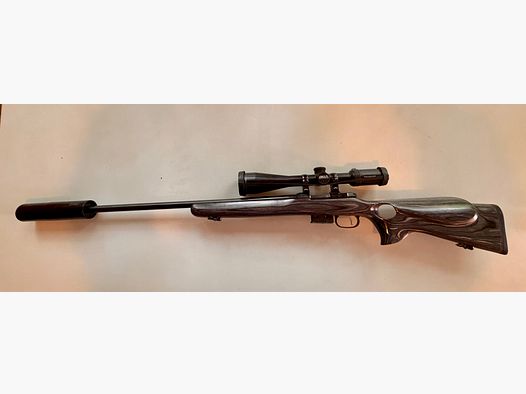 CZ 527 Thumbhole .17 HORNET mit Hausken SD & Delta Titanium HD – Raubwild-Profi