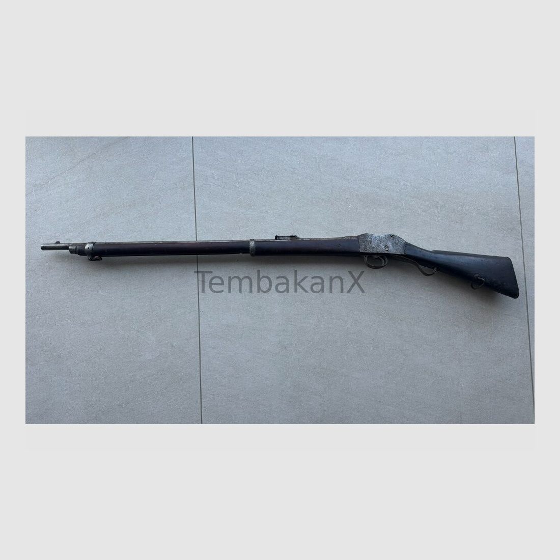 Enfield Bj. 1875 (vermutlich) .445SuperMag