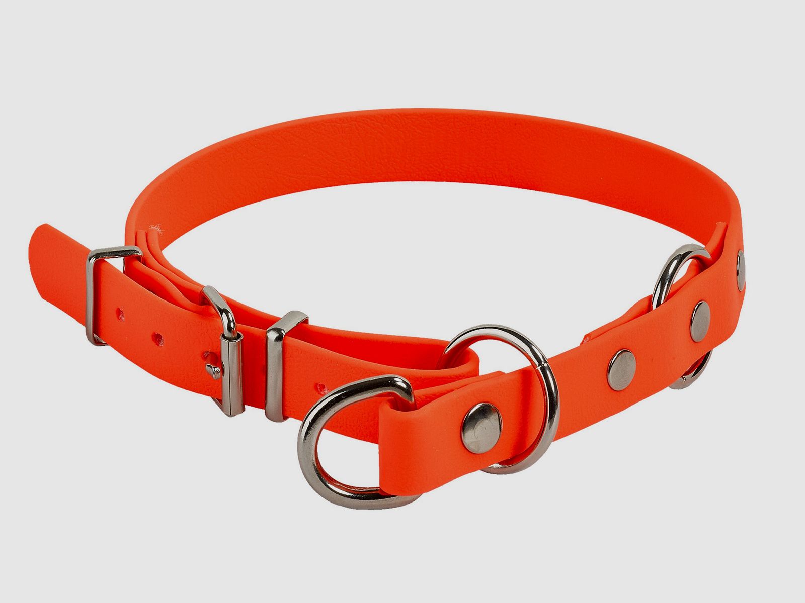 Biothane pull leash with limit