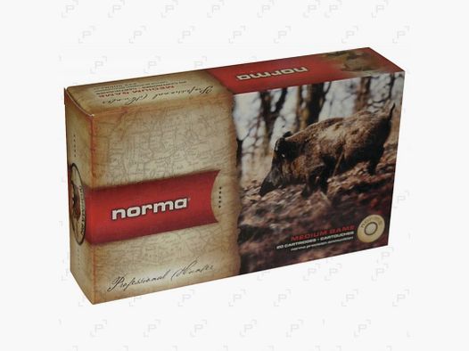 Box mit 20 Patronen für Großwild NORMA SPITZPLASTIK Kaliber .30-06 - 180 GR