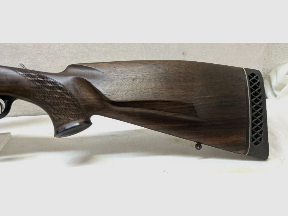 Blaser 95