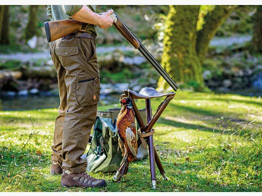 Jagdhose Forest