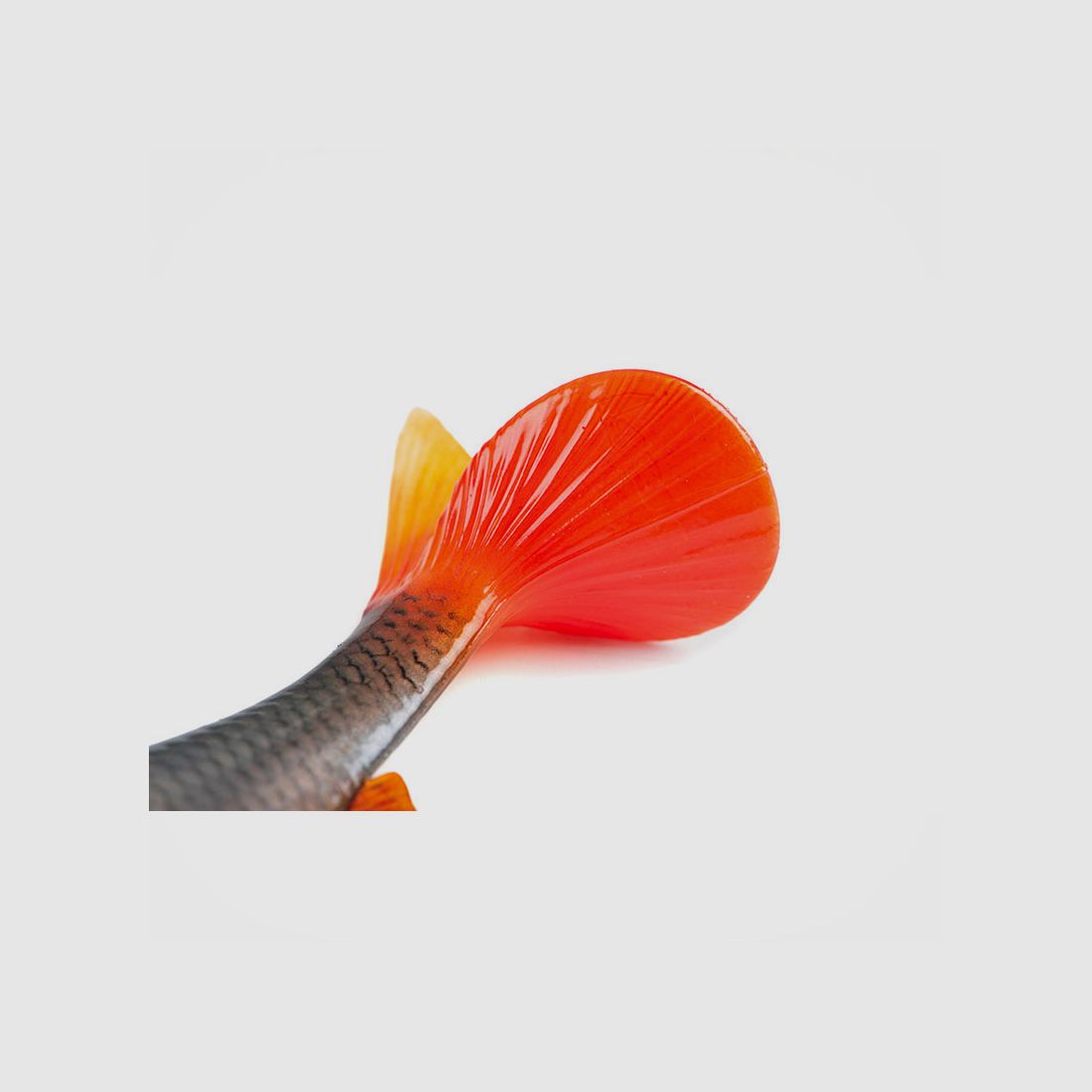 FOX RAGE – ULTRA NATURALS ROACH | 14cm 5.5″ | Ultra Natural Roach, Bild 3 von 8