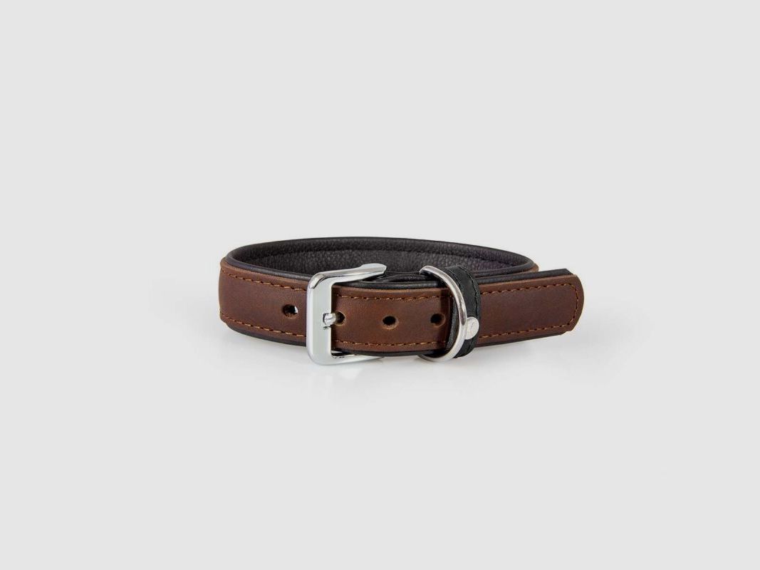 Das Lederband Hundehalsband Vancouver Mocca/Black