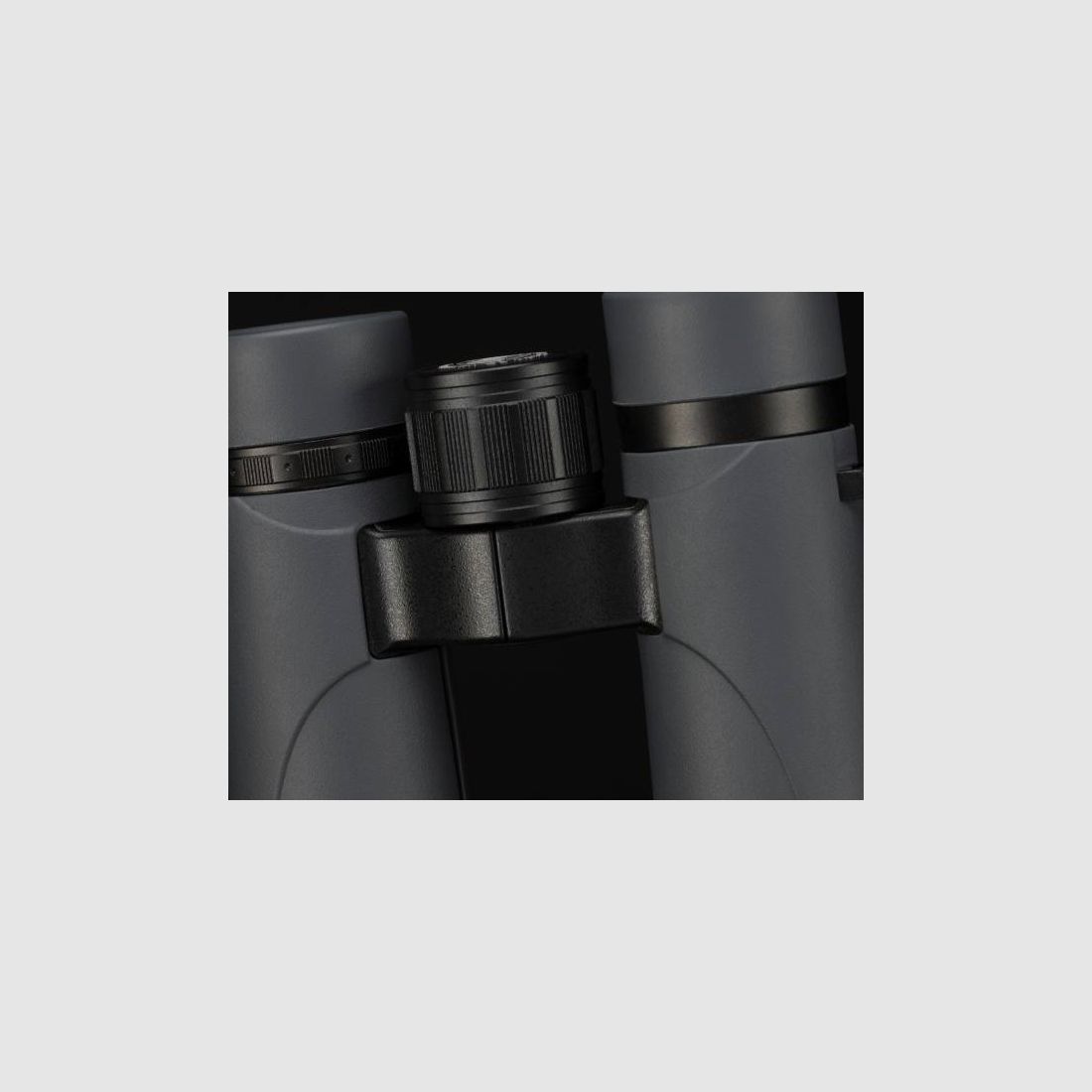 BRESSER 1721035 Pirsch ED 10x34 binoculars Phase Coating with case and strap