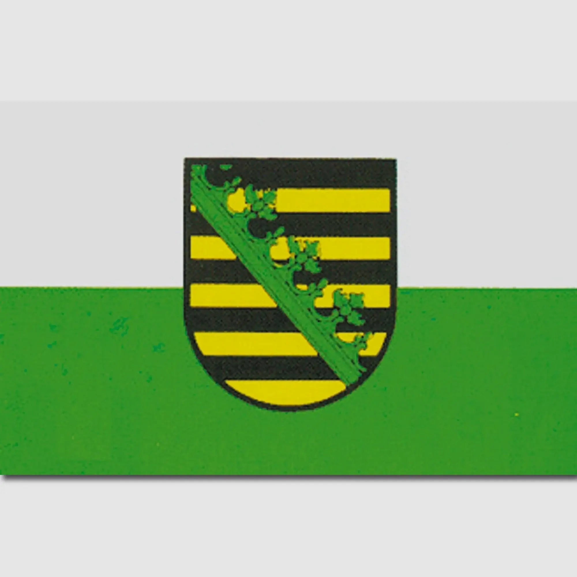 Diverse Flagge Sachsen