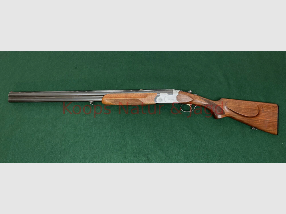 Sauer/Beretta