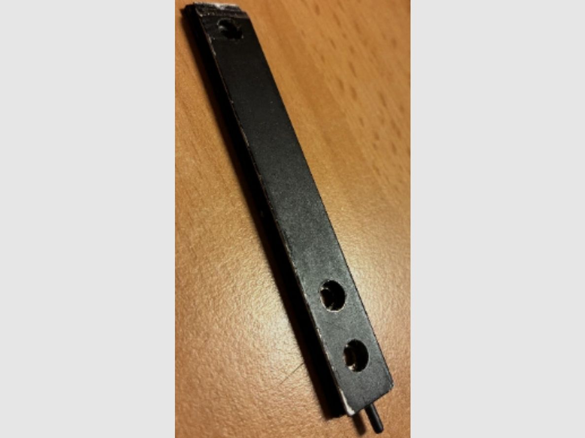 Ruger 10/22 11mm Schiene
