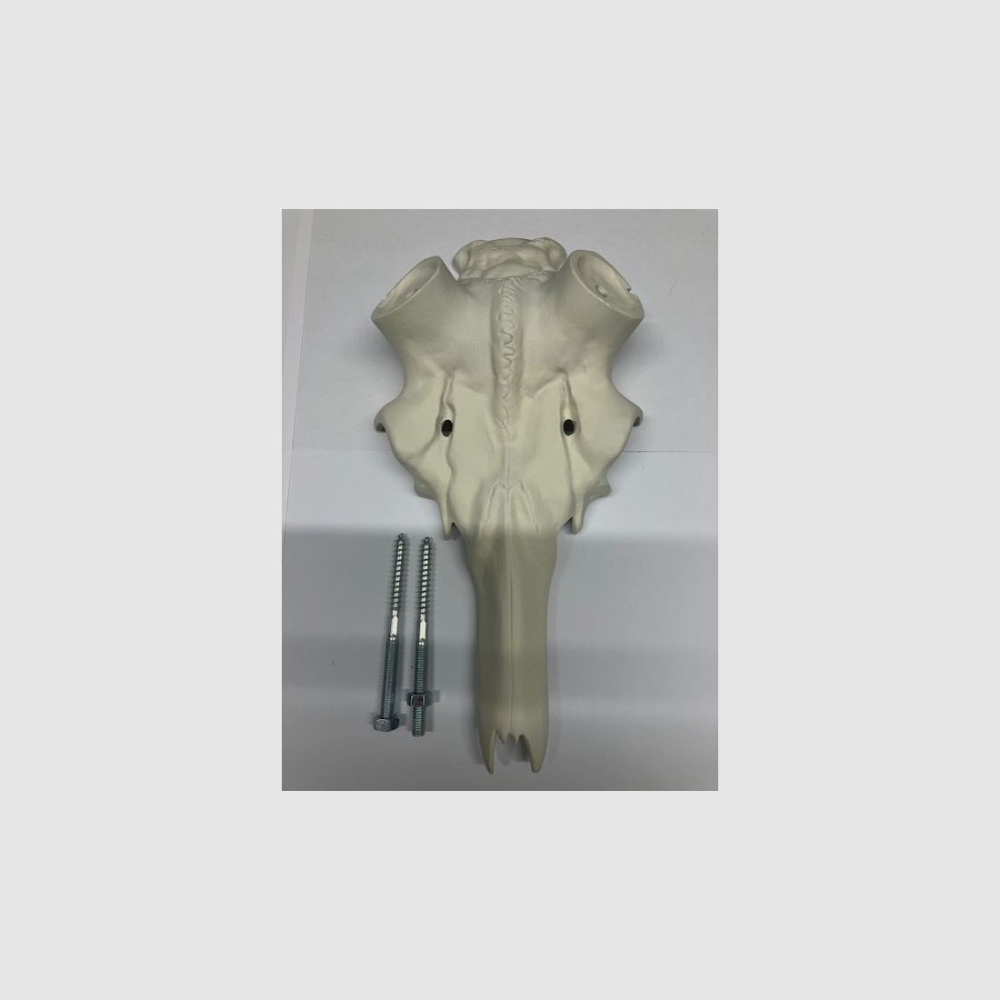 Kunststoffschädel Hirsch 33cm für Abwurfstangen