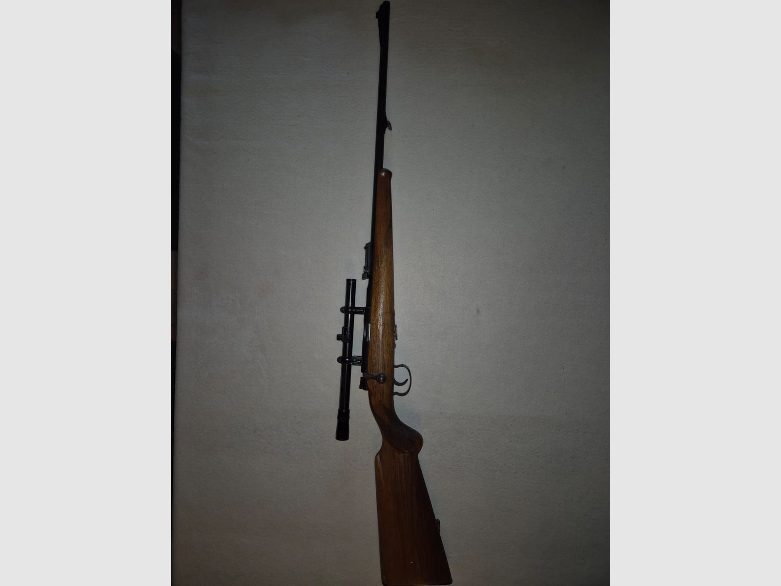 small caliber rifle