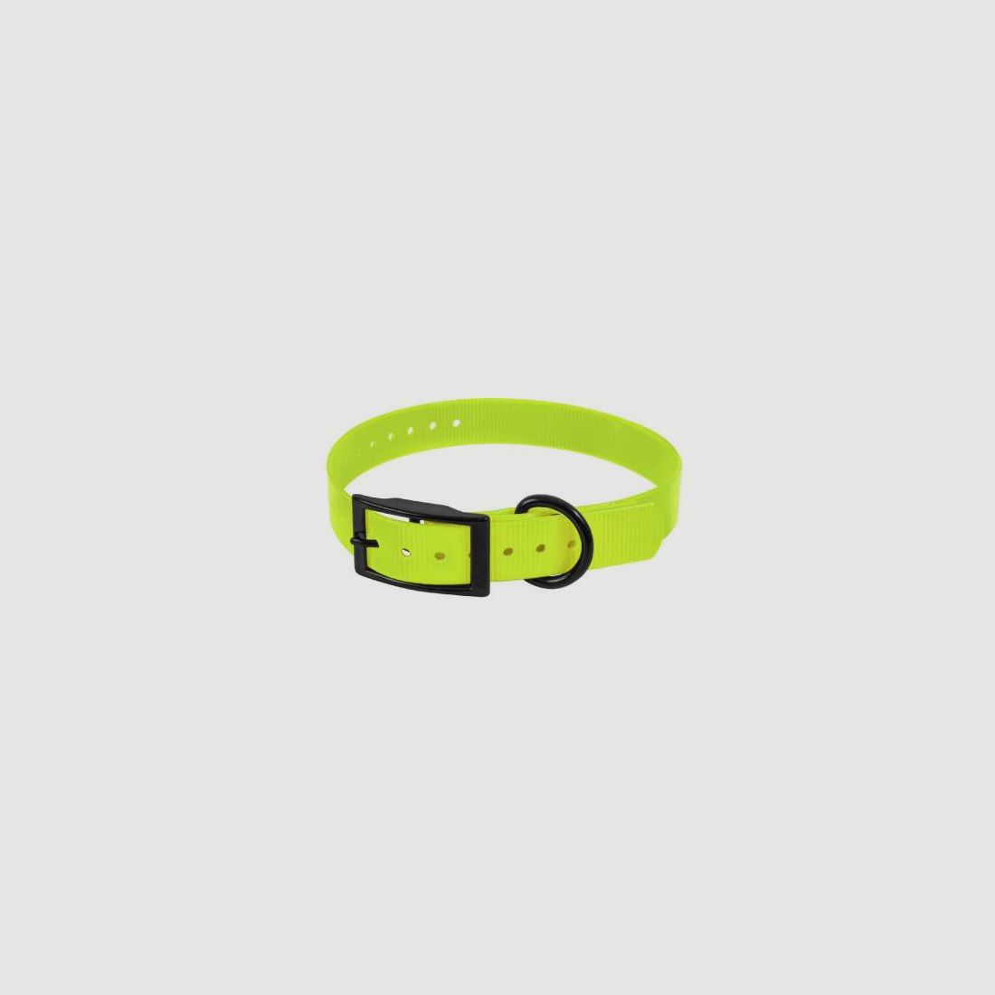 Collare biothane biogold 600X25X2.6 Giallo HB DOG