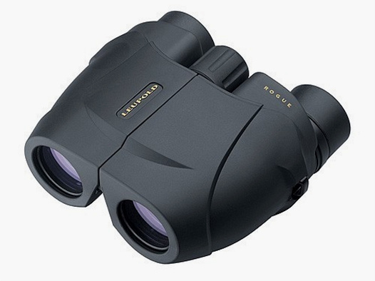 Leupold BX-1 Rogue Compact 8x25mm schwarz