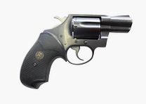 Colt Detective Special 2''