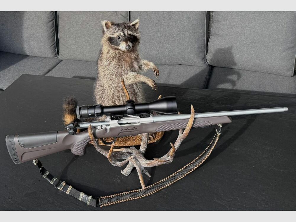 Sabatti Mercury Rover Pathfinder