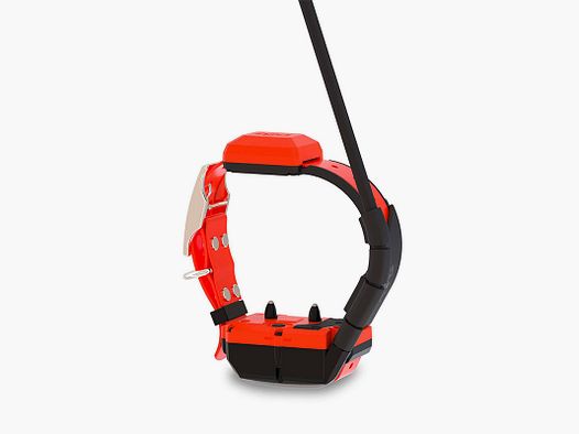 DOG TRACE – GPS X40T | ZUSATZHALSBAND